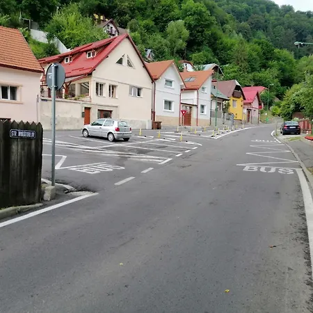 Ursul Balu Brašov