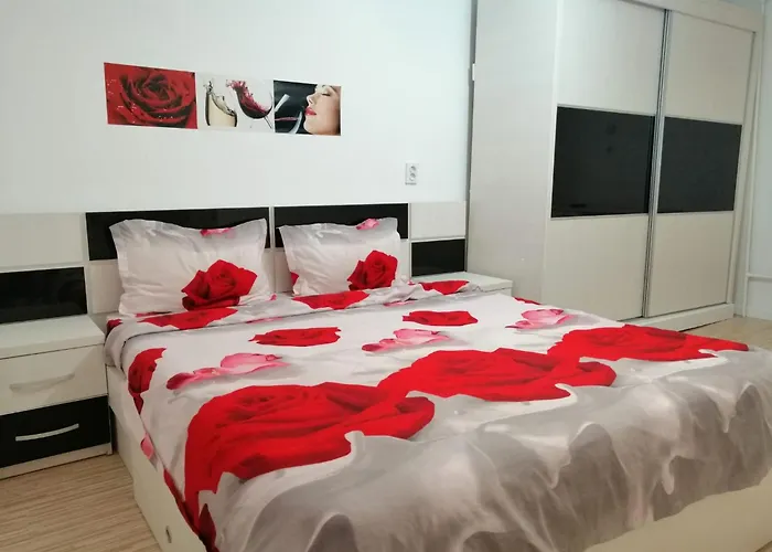 Ursul Balu アパート ブラショフ