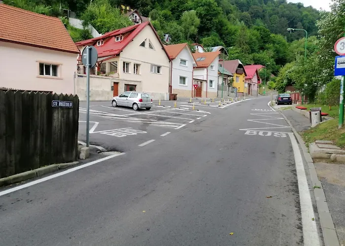 Ursul Balu ブラショフ