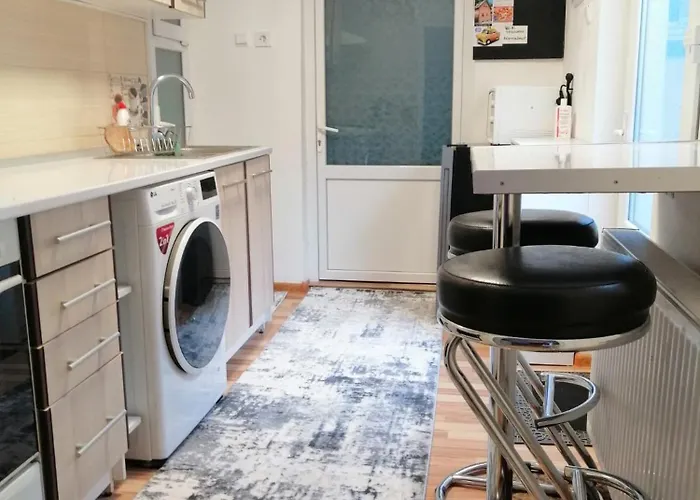 Ursul Balu * ブラショフ